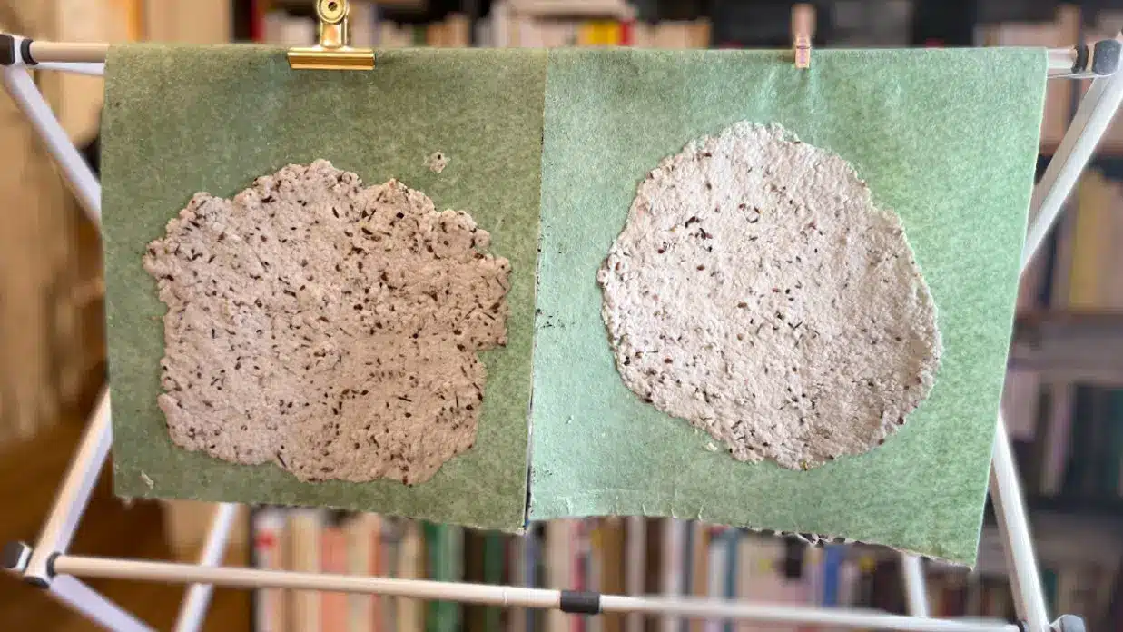 How to make seeded paper at home