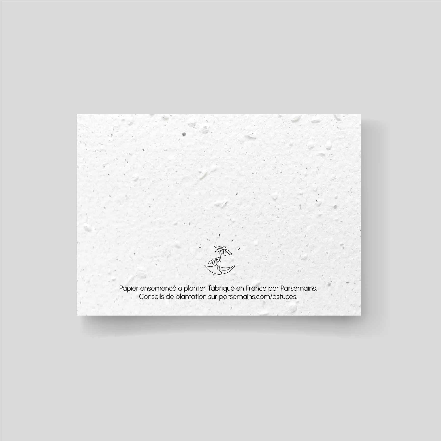 Carte à planter - Remerciement de condoléances - Fleur de gratitude - lot  de 10 cartes - Parsemains