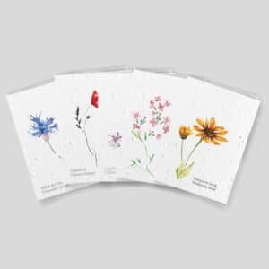 Cartes à planter - Collection Candeur - Assortiment de 5 cartes