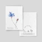 Planting cards - Candeur Collection - Assortment of 5 cards - Cornflower