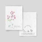 Planting cards - Candeur Collection - Assortment of 5 cards - Giroflée