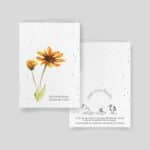 Planting cards - Candeur Collection - Assortment of 5 cards - Yellow Daisy