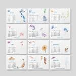 Calendrier à planter - Fleurs bleues - 12 mois