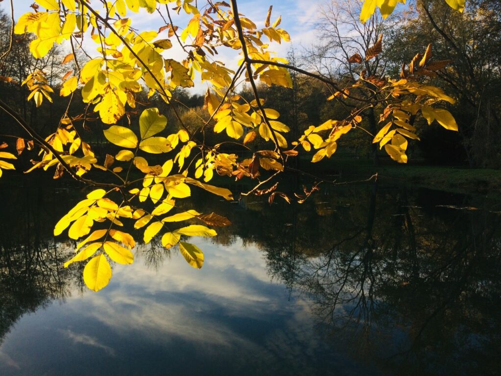 Etang Soeuvres web