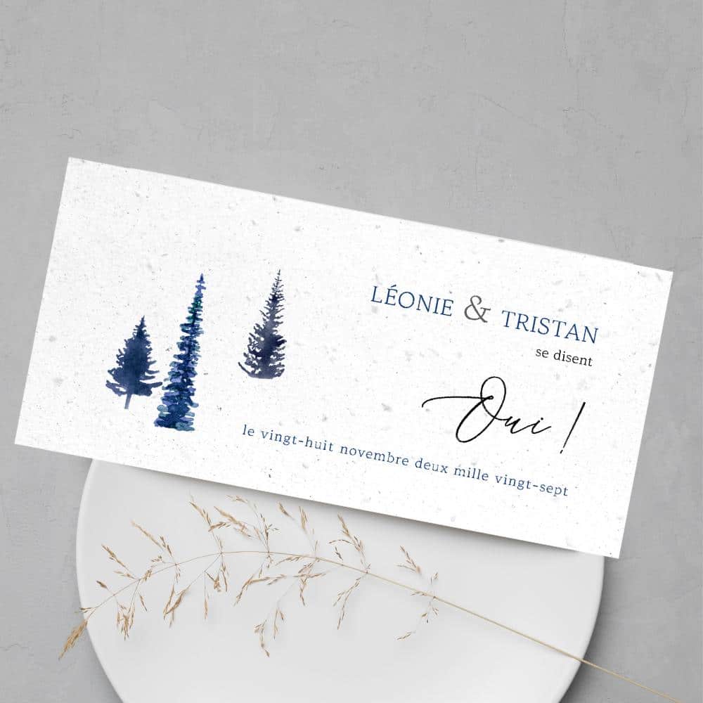 Invitaciones de boda para plantar - Invierno - situación