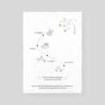 Faire-part mariage ensemencé - Fleurs de tendresse - verso
