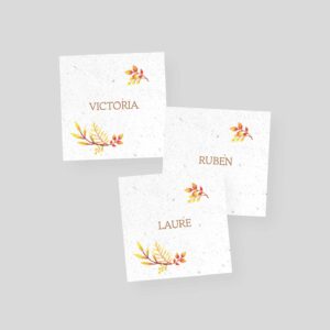 Marque-place-a-planter-mariage-Ete-3