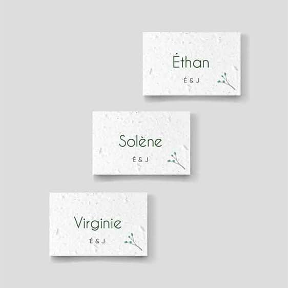 Marque-places Pour Mariage - Lot De 40 Cartes Pliantes, Design Eucalyptus, 9x5 Cm, Pour Décoration De Table Et Plan De Table