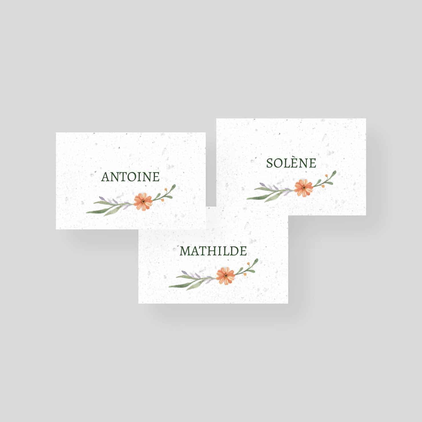 Marque-place mariage ensemencé – Printemps