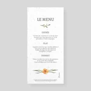 Menu mariage à planter - Printemps