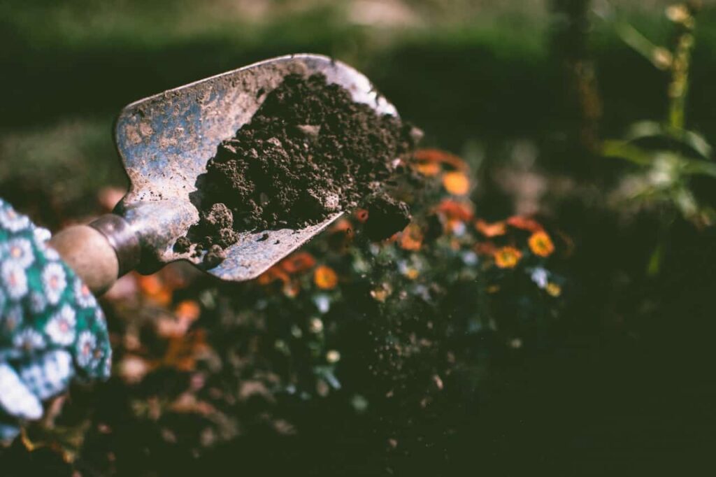 Shovel full of soil