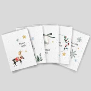 Cartes à planter - Semer la magie - Assortiment de vœux