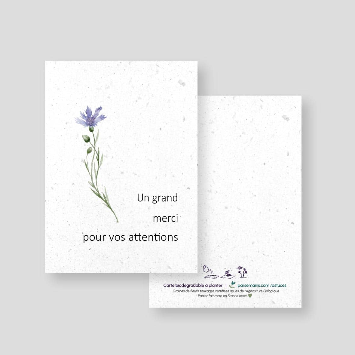 Carte à planter - Remerciement de condoléances - Fleur de gratitude - lot de 10 cartes-recto et verso