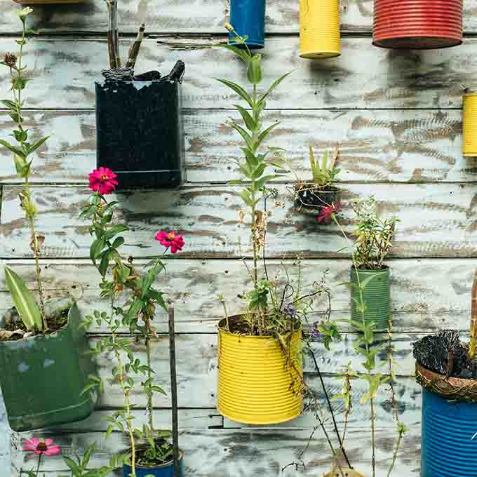 jardinería sostenible