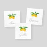 Marque-Place ensemencé mariage