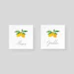 Marque-place de mariage à planter - "Passion Citron" 2