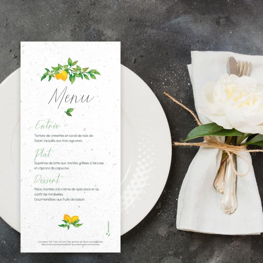 Papeterie de mariage ensemence Citron Menu a planter mise en situation