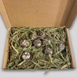 Coffret bombes à fleurs personnalisé-ouvert