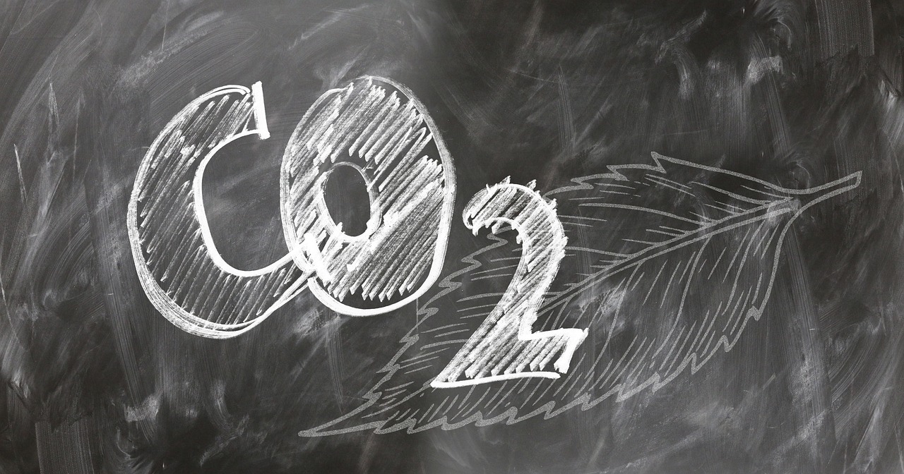 "CO2" et feuille dessinés sur un tableau noir