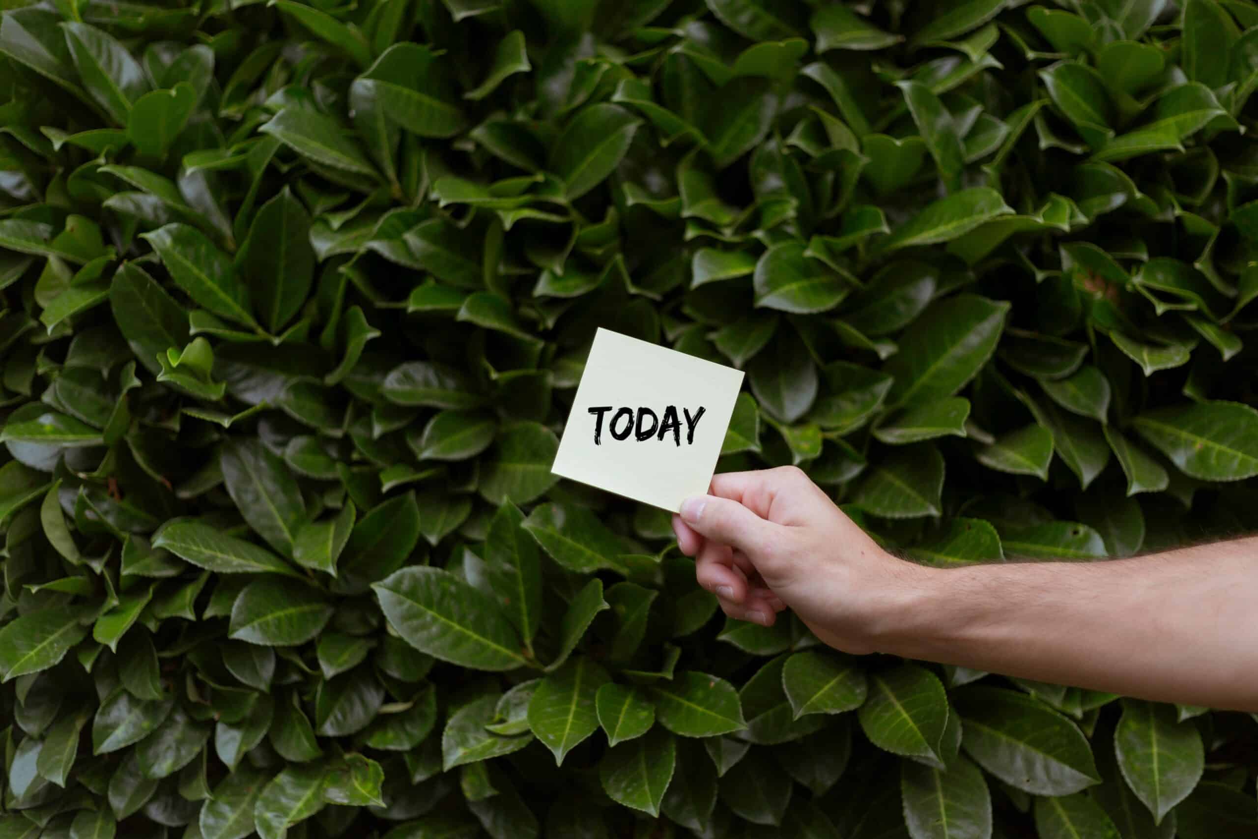 bras tenant un post-it écrit "today" avec un fond végétal