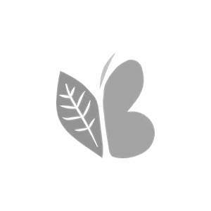 Logo BE Logoseul coloursBN 1
