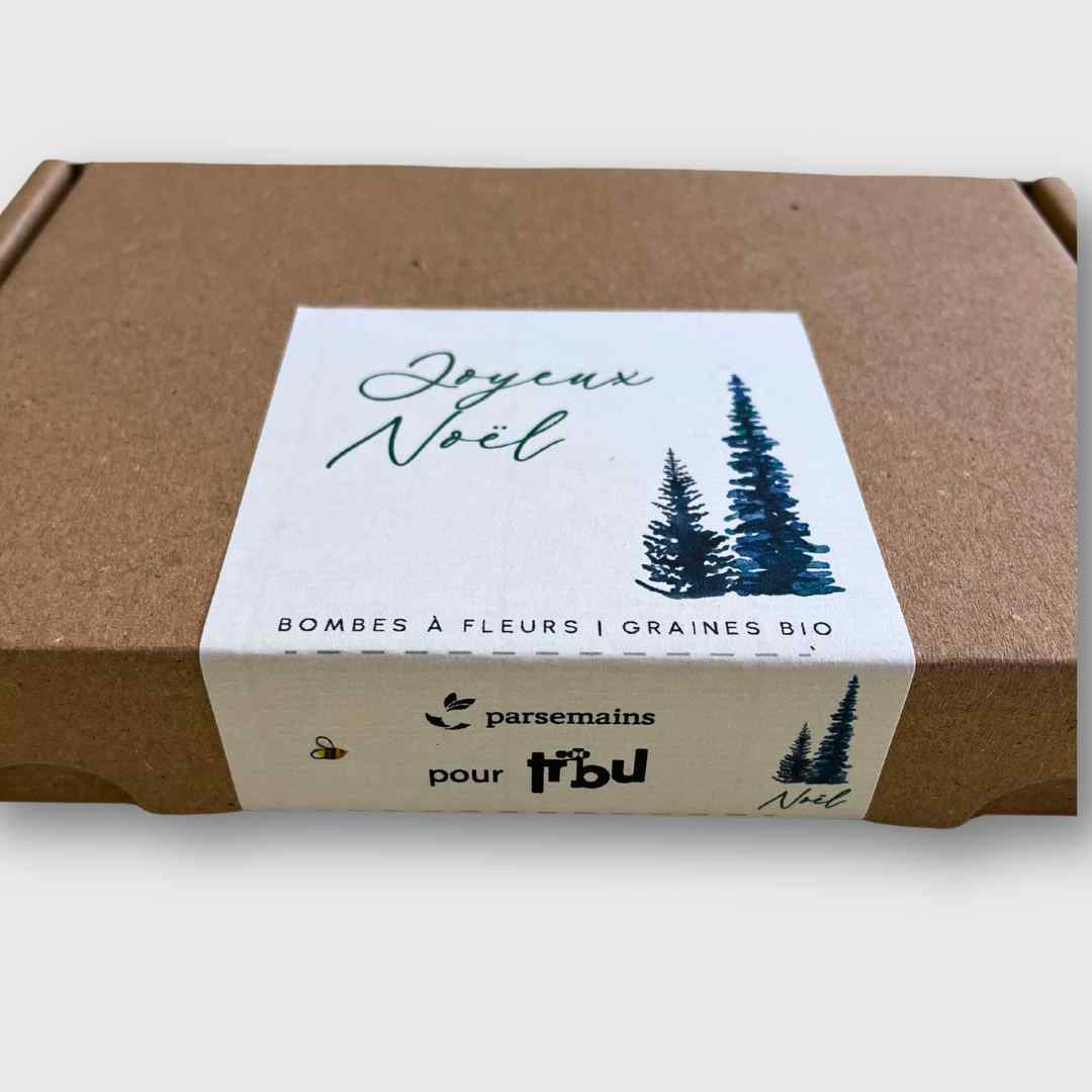 Seed bombs - Northern sweetness set (2)