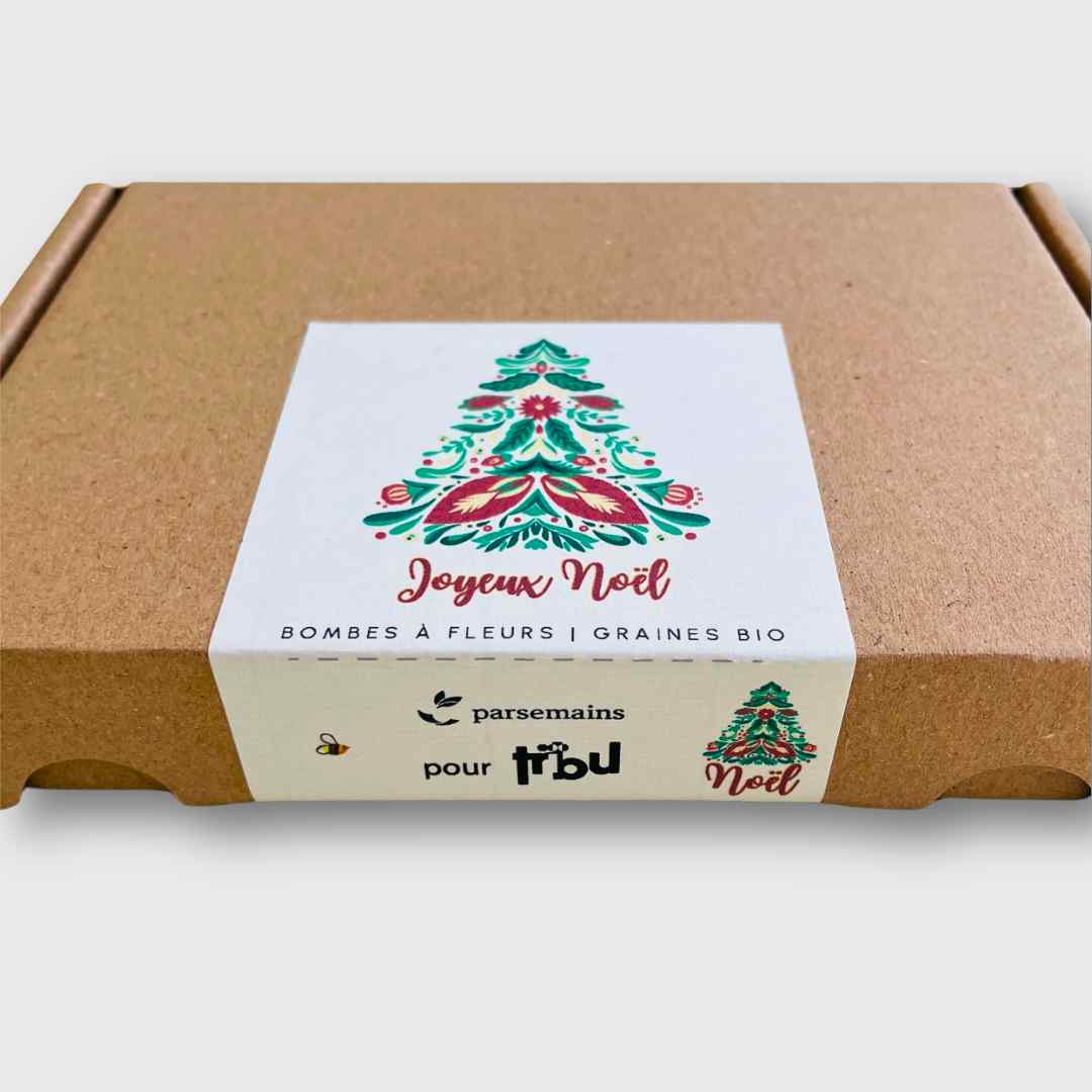 Seed bombs - Christmas in Bloom set 2