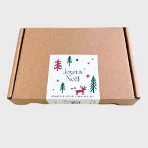Seed bombs - Forest Greetings set