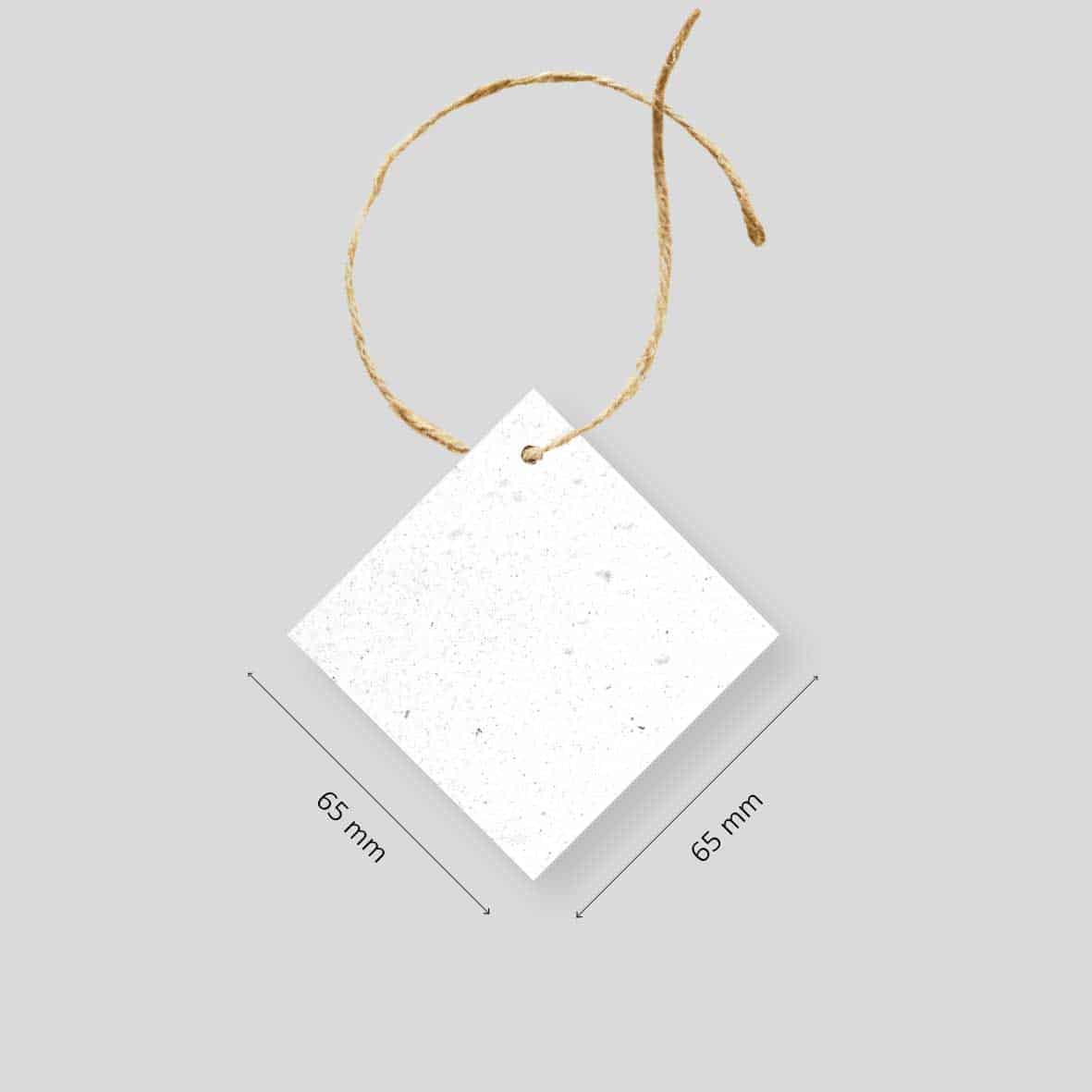 Médaillons ensemencés à faire fleurir - dimensions