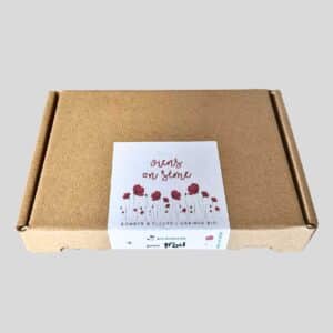 Bombes à graines - coffret Viens on sème