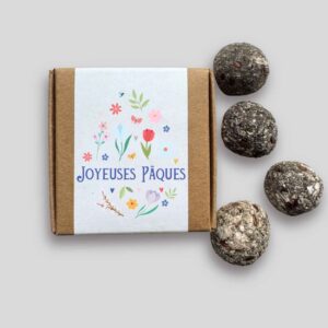 Mini-coffret bombes à fleurs Pâques - Fleurs de printemps
