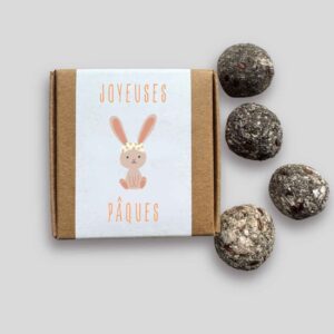 Mini-coffret bombes à fleurs Pâques - Lapin à Pâquerettes