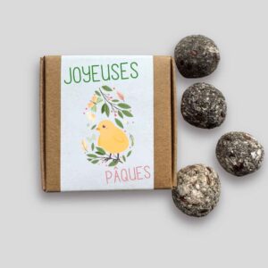 Mini-coffret bombes à fleurs Pâques – Poussin et couronne végétale