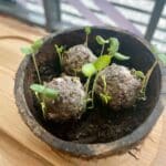 Mini-coffret bombes à fleurs-germination 1