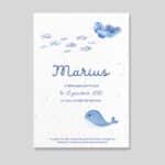 Faire-part de naissance ensemencé - Baleine
