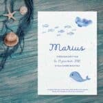 Faire-part de naissance à semer - Baleine