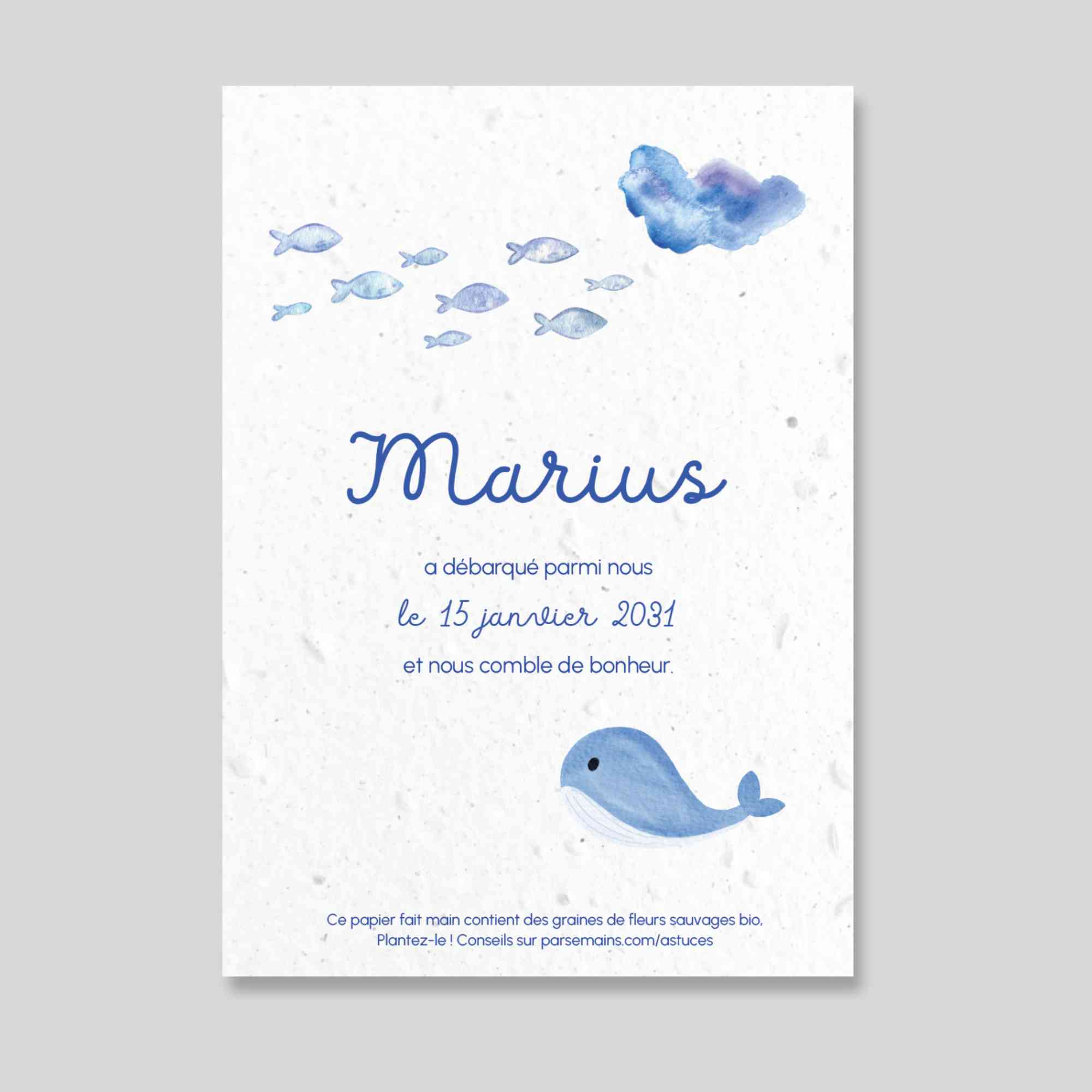Faire-part de naissance ensemencé - Baleine
