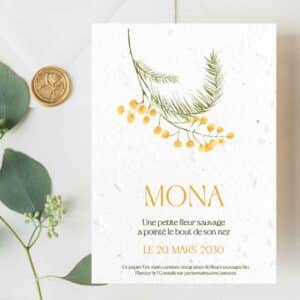 Anuncio de nacimiento ecológico 8 Faire-part de naissance ensemencé - Petite fleur sauvage - situation