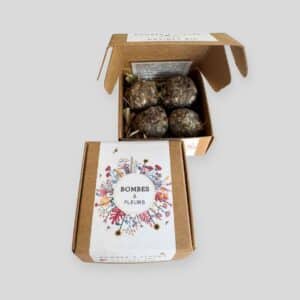 Mini-coffret de bombes à fleurs - Jardin sauvage